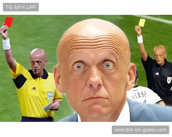 现役足球十大顶级裁判球星盘点与他们的精彩执法瞬间